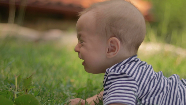 Un bambino piccolo giace sull'erba piangendo primo piano
 - Filmati, video