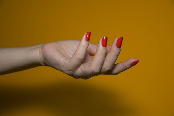  Belle main féminine avec manucure colorée nail art design
 - Photo, image