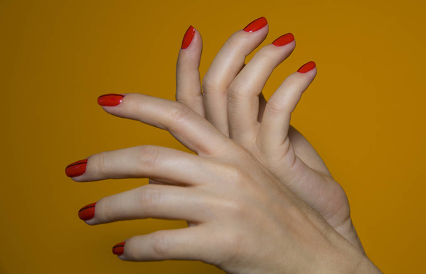  Beautiful female hand with colorful nail art design manicure - Φωτογραφία, εικόνα
