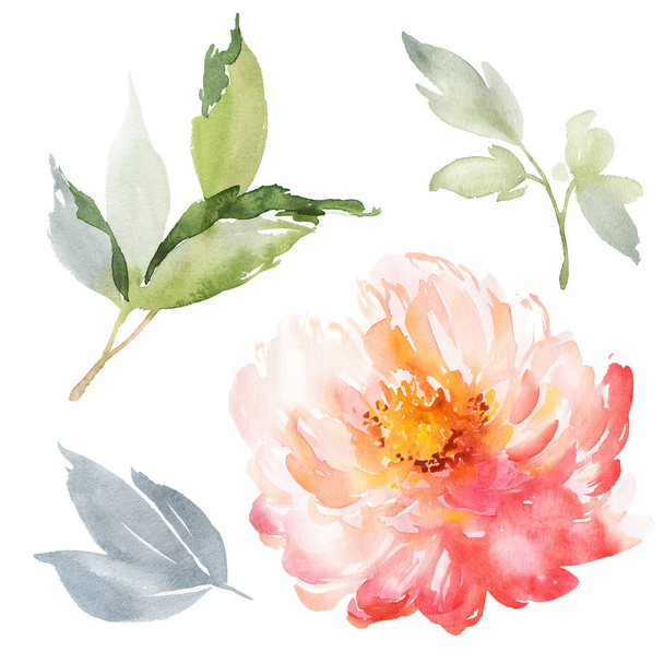 Set of watercolor large peony for greeting card. - Foto, imagen