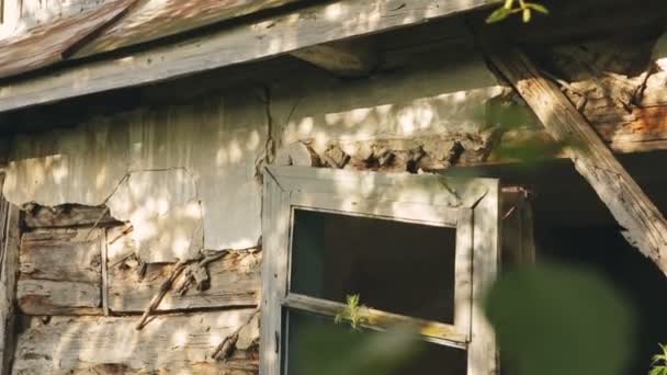 die Technologie der mit Lehm beschmierten Holzhäuser - Filmmaterial, Video