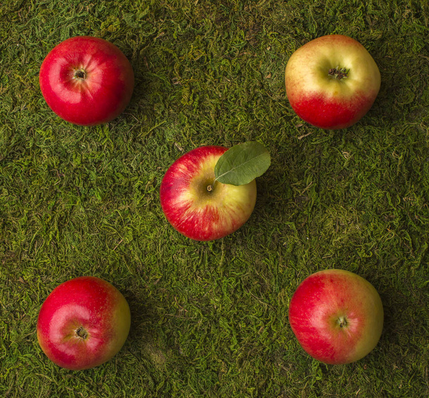 Ripe red apples on a background of grass.  - Fotografie, Obrázek