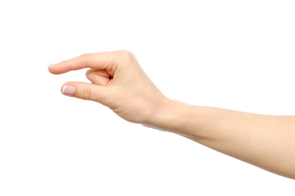 Hand showing size gesture isolated - Zdjęcie, obraz