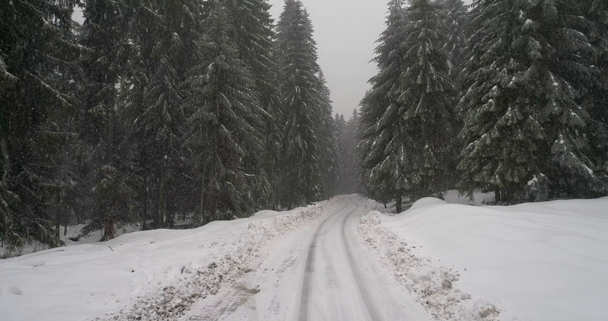 Aeria widok Zima Krajobraz - Materiał filmowy, wideo
