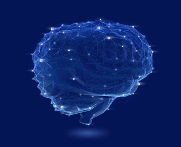 Alhainen poly aivomalli, jossa langallinen kehys eristetty tummansinisellä taustalla
 - Valokuva, kuva