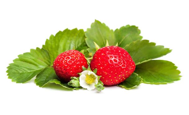 frische Erdbeeren mit weißen Blüten und grünen Blättern - Foto, Bild