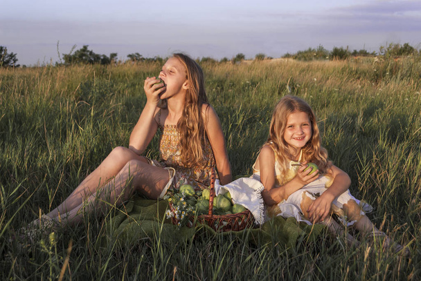 Дві дівчини сидять у полі
 - Фото, зображення