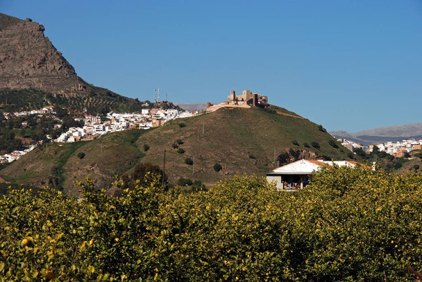 Kilátás nyílik a városra, a citromfák az előtérben, Alora, Spanyolország. - Fotó, kép