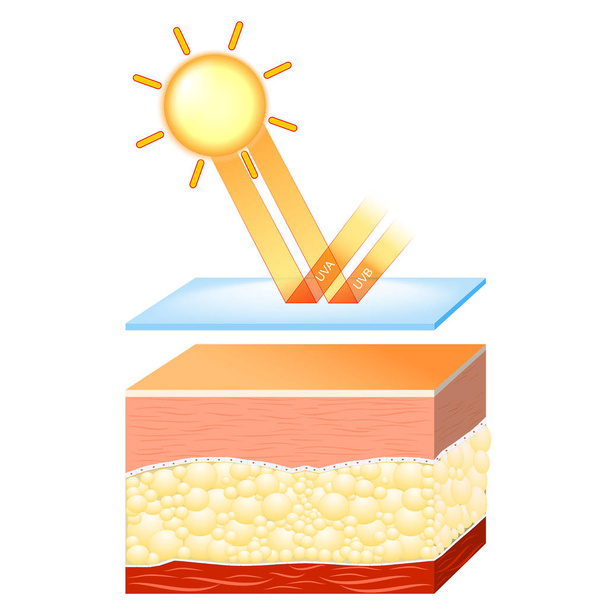 UV-Schutz für empfindliche Haut. - Vektor, Bild