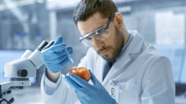 W nowoczesnym laboratorium żywności naukowiec wstrzykuje pomidor z Syri - Zdjęcie, obraz