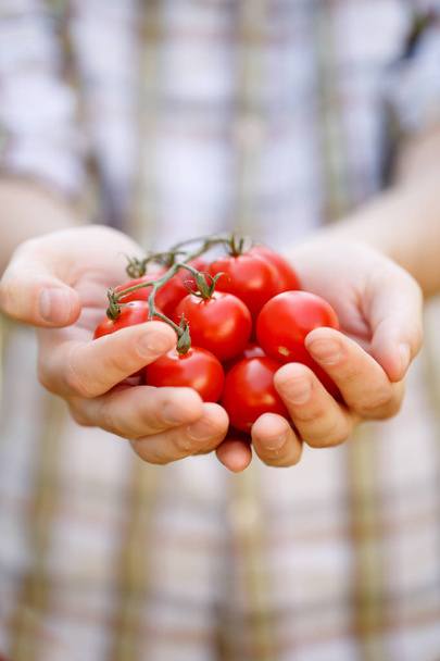 Young man with cherry tomatoes - Foto, Imagem