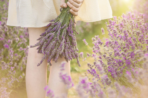 Lavender field walking. unrecognizable portrait. Slender legs. - Photo, Image