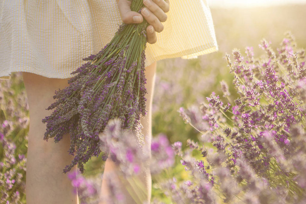 Woman's hand holding lovely bouquet of lavender flowers. - Photo, Image