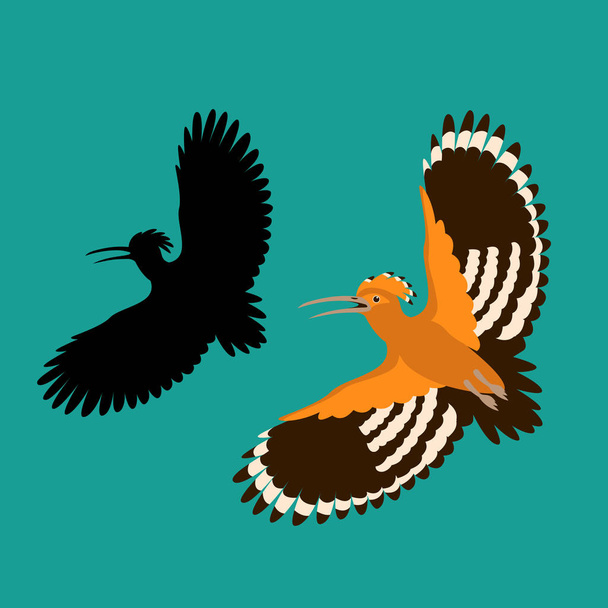 uccello upupa vettore illustrazione stile piatto silhouette
  - Vettoriali, immagini