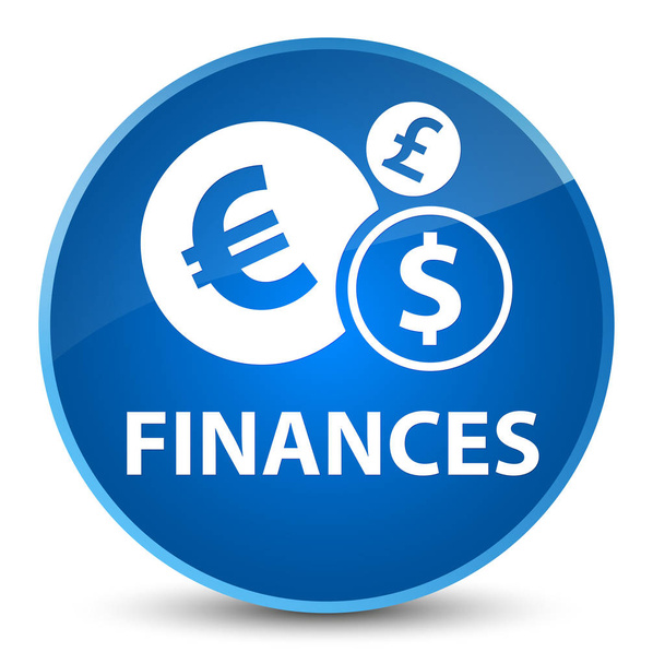 Οικονομικά (σύμβολο ευρώ) κομψό μπλε στρογγυλό κουμπί - Φωτογραφία, εικόνα