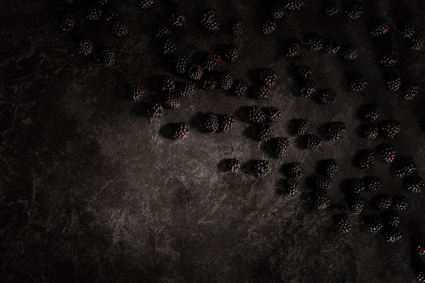 blackberries - Fotoğraf, Görsel