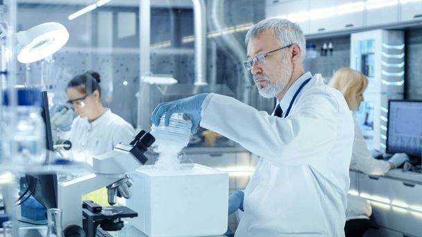 Senior Medical Research Scientist Takes Out Petri Dish with Samp - Φωτογραφία, εικόνα