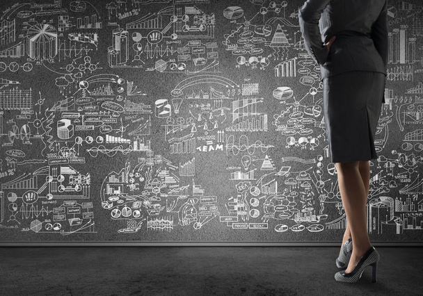 business woman and drawn plan sketch on wall
, - Фото, изображение