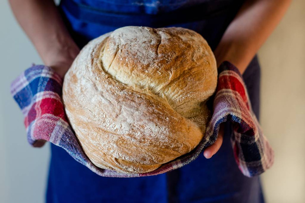 Round loaf of bread in the hands of a woman - Photo, Image