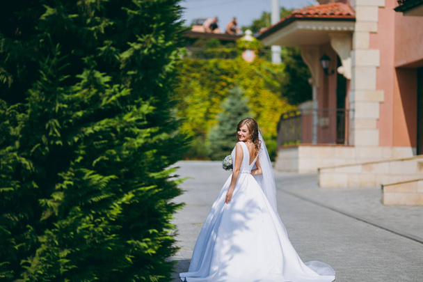 Portrait of a beautiful bride on wedding day - Fotografie, Obrázek