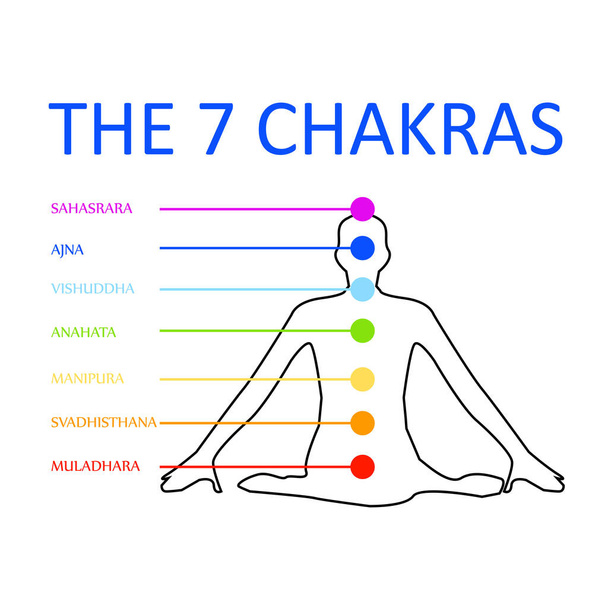 die sieben Chakren mit ihren jeweiligen Farben  - Vektor, Bild