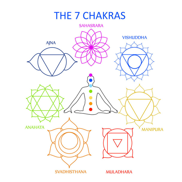 The seven chakras of the human body with their names  - Vector, Image