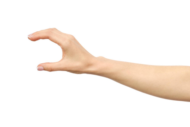 Woman's hand grabbing or measuring something - 写真・画像