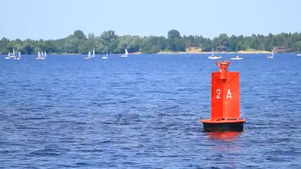 Red buoy and yachts - Footage, Video