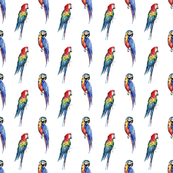 Bright colorful beautiful lovely sophisticated jungle tropical yellow, green, red and blue big tropical parrots diagonal pattern watercolor hand illustration - Fotoğraf, Görsel
