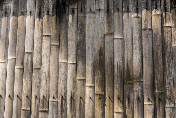 A wall of bamboo stalks - Foto, imagen