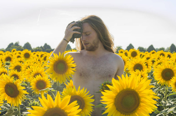 Junge auf Sonnenblumenfeld - Foto, Bild