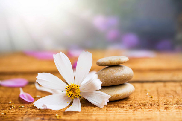 Spa composition nature morte avec des pierres de massage et fleur blanche
 - Photo, image