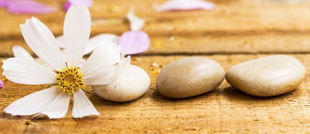 Spa Martwa natura z masażu kamieniami i biały kwiat - Zdjęcie, obraz