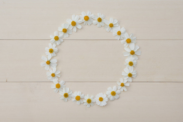 Circle white flower frame of Spanish needle - Foto, Imagen