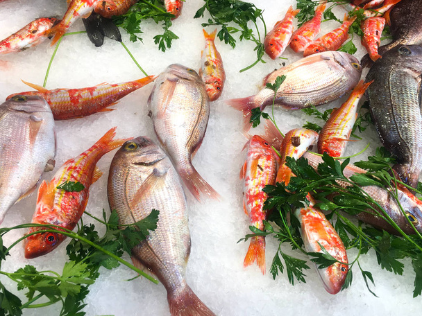 Taze deniz ürünleri ve balık - Fotoğraf, Görsel