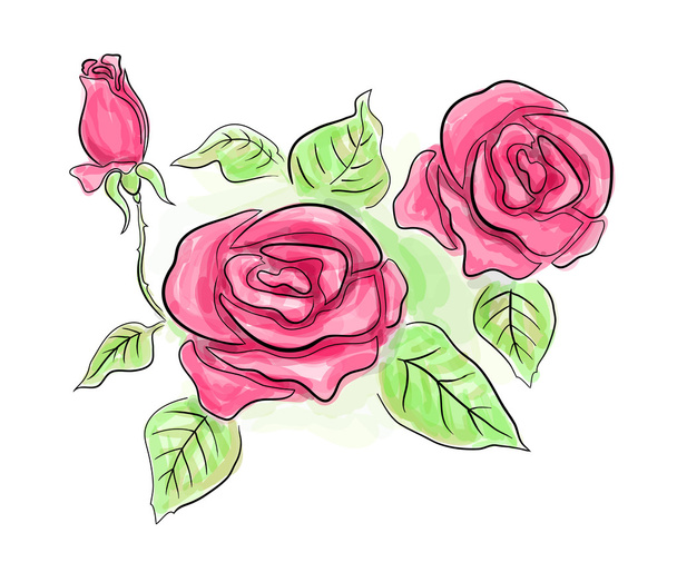 Sketch of pink roses in transparent colors - Photo, image