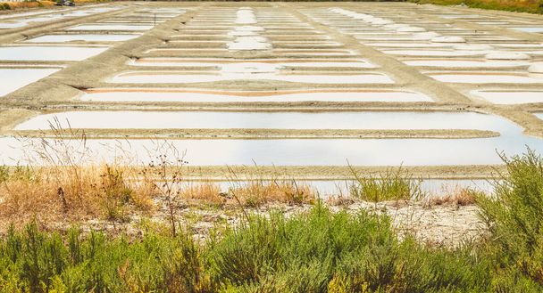 Traditionele zout moeras van Noirmoutier tijdens de zout oogst - Foto, afbeelding