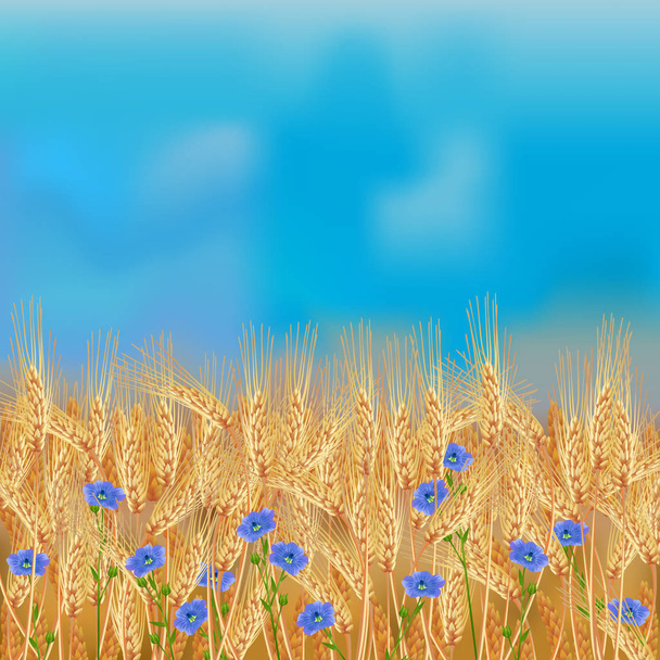 Wheat field with flax flowers and blue sky - Vector, Image