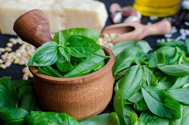 Yeşil fesleğen pesto malzemeler - Fotoğraf, Görsel