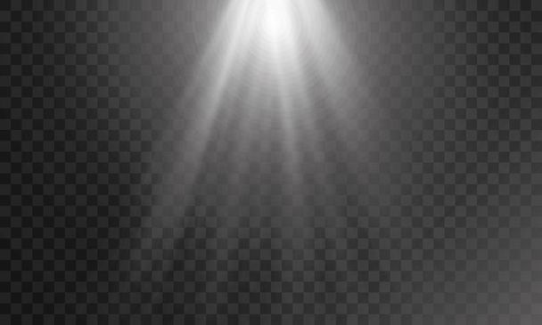 Vector isolated spotlight. Light effect - Vector, Image