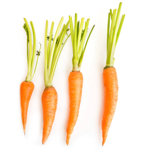 fresh carrots with leaves   - Foto, Bild