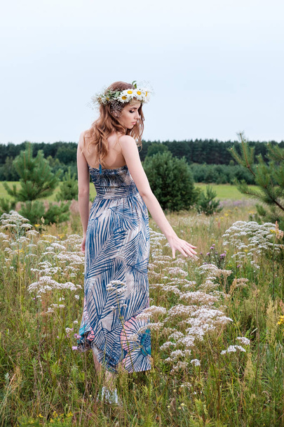 portrait of young pretty woman with circlet of camomile flowers  - 写真・画像
