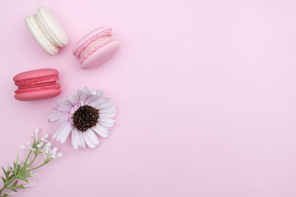 macarons on pink background - Foto, afbeelding