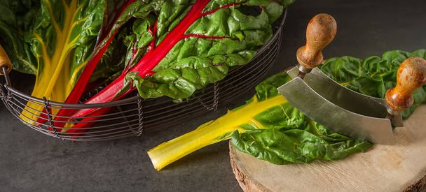 Rainbow chard, colorful eating and healthy diets. Dark backgroun - 写真・画像