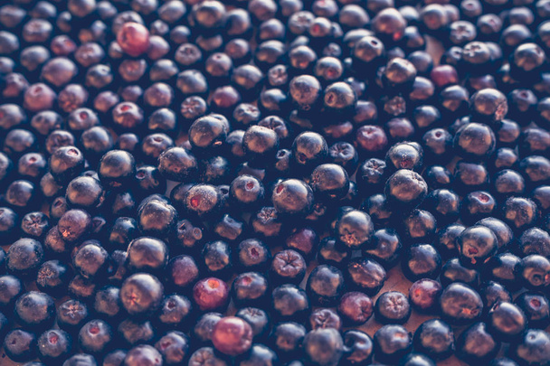 Arrière-plan noir d'Ashberry Chokeberry, vue de dessus
 - Photo, image