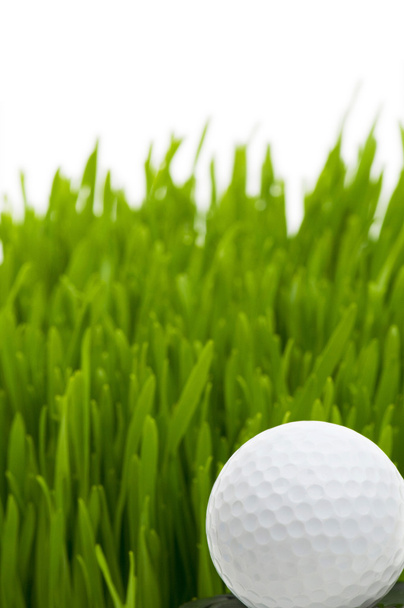 Golfball auf dem grünen Rasen - Foto, Bild