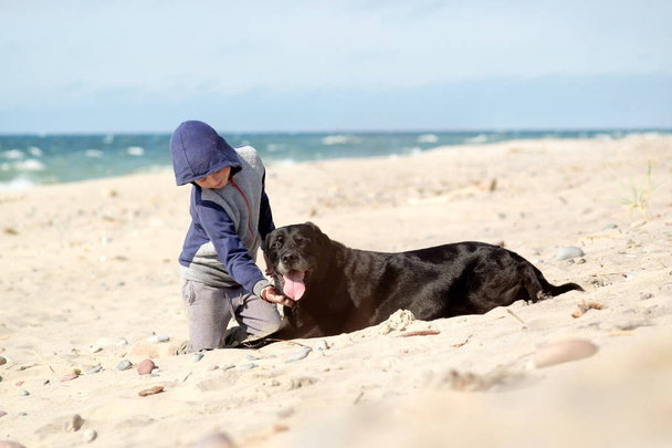 little boy (kid) with black dog on the seashore, friendship conc - 写真・画像