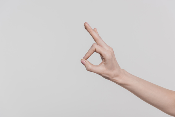 hand showing ok sign - Fotografie, Obrázek
