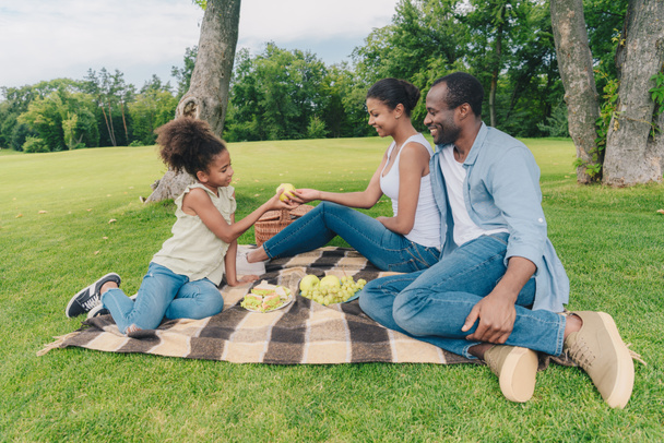 familia afroamericana en el picnic
 - Foto, Imagen