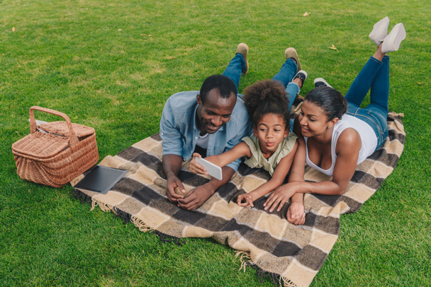 family taking selfie at picnic - Foto, Imagen